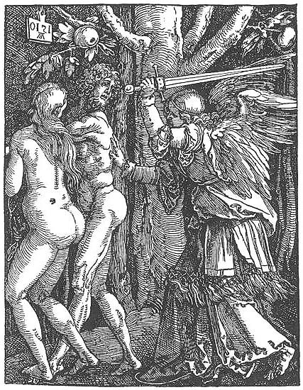 25P Drawn Ero and Porn Art 35 - Albrecht Duerer
