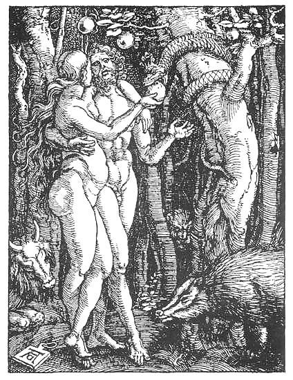 25P Drawn Ero and Porn Art 35 - Albrecht Duerer