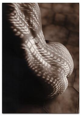 20P Art of nudes