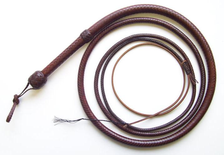 20P Implements for whipping punishment