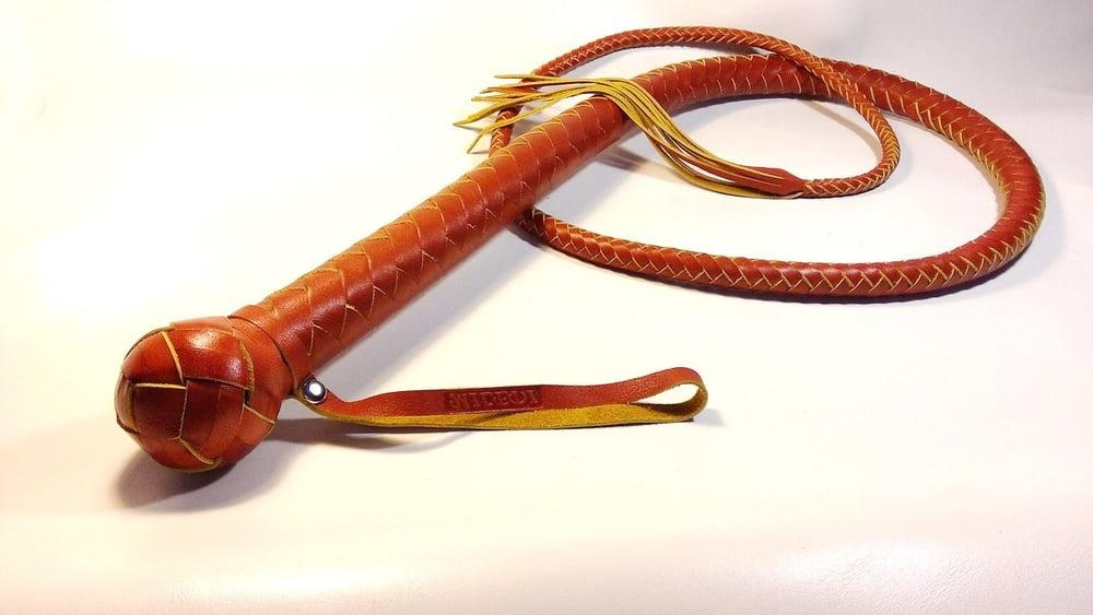 20P Implements for whipping punishment
