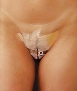 14P Body art