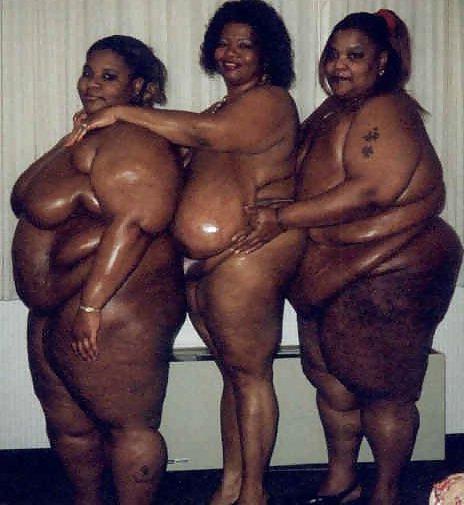 8P NASTY BLACK COWS