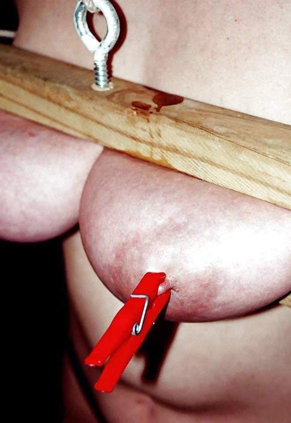25P Nipples clamp Mature2
