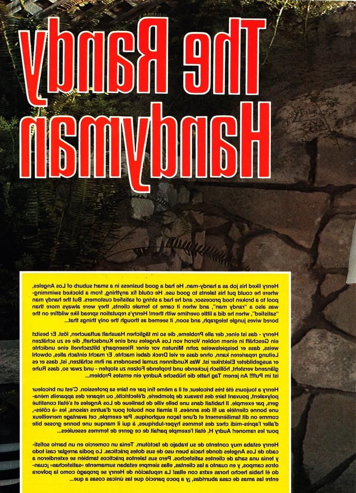 17P classic magazine #960 - the randy handyman