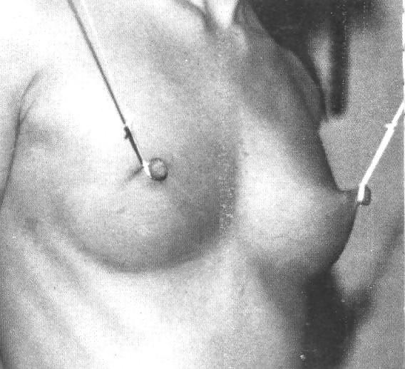 16P Nipples Clamp Mature8