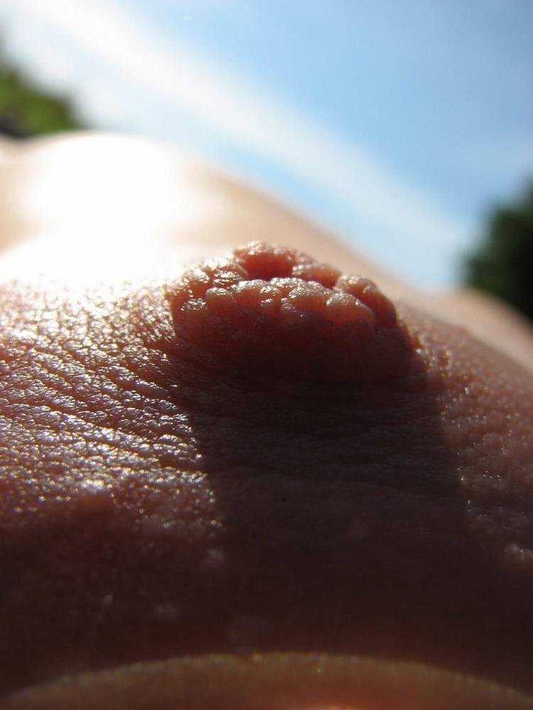 24P Braut