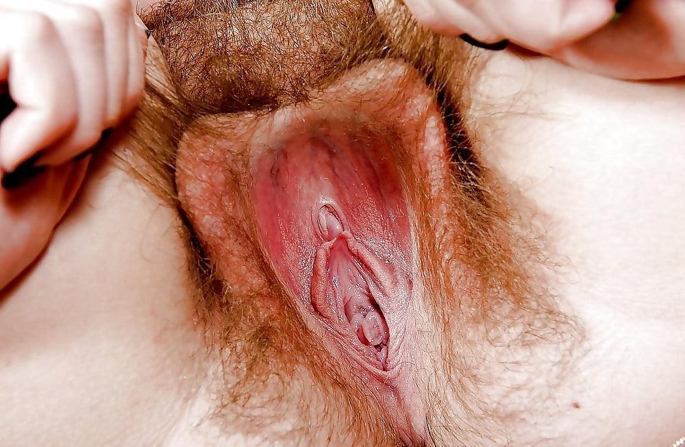 25P My campaign to bring back lush pussy hair (17)