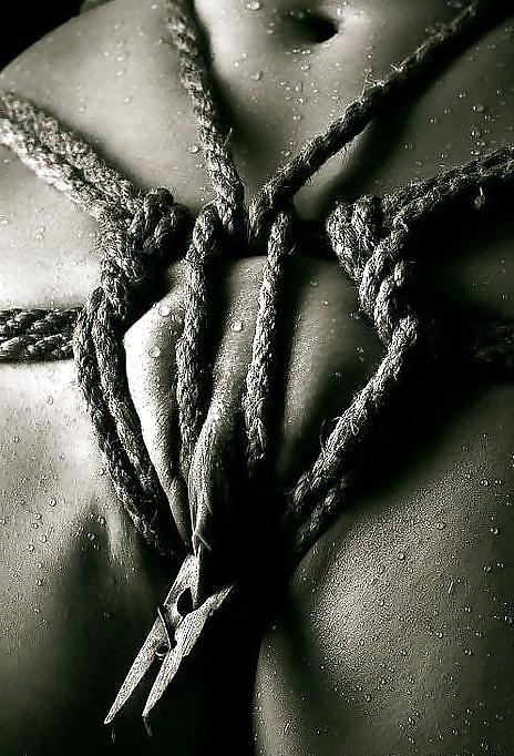25P ART OF DOMINATION...