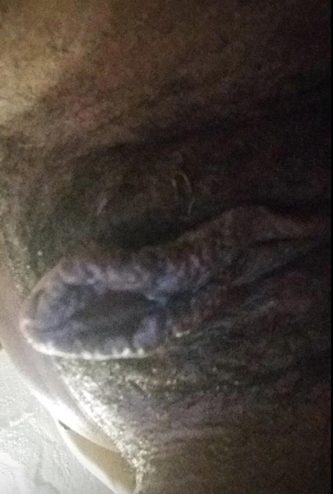 5P My Nasty Ass Ugly Bitch