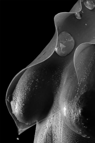 25P The Art of Porn