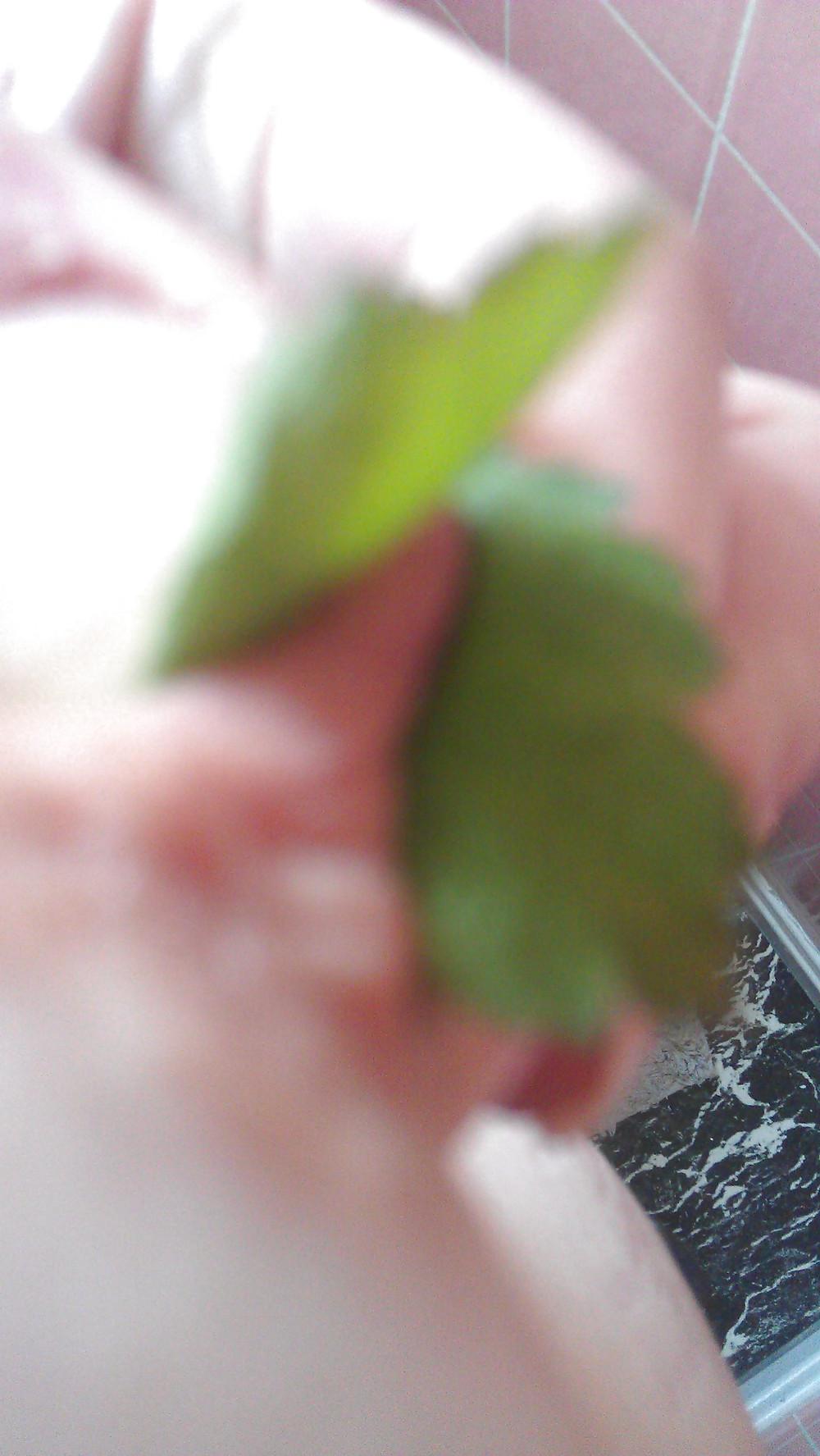 6P Nettle punishment
