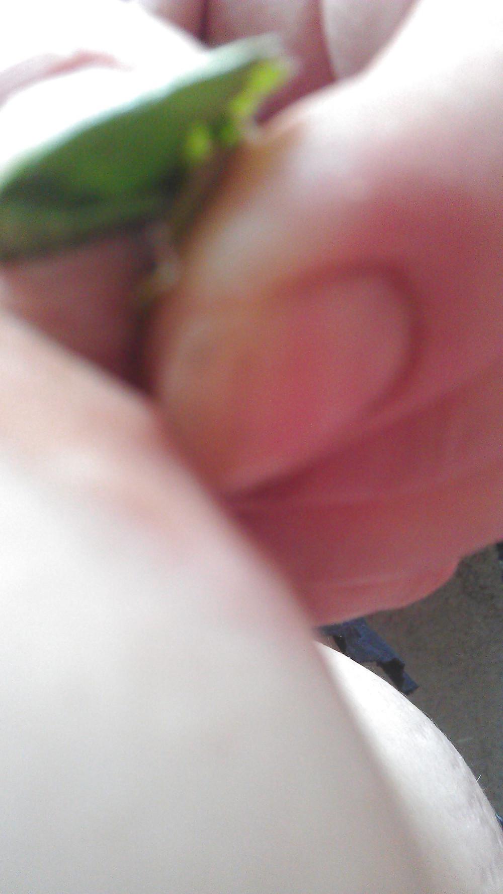6P Nettle punishment