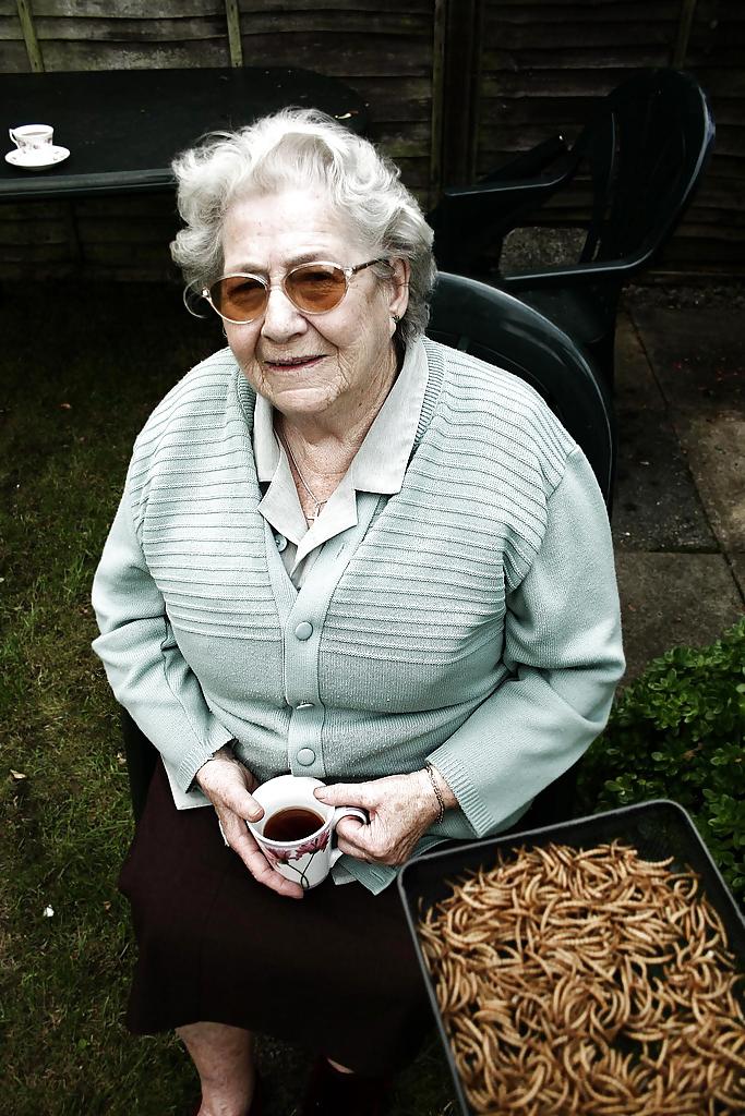 4P My Fat Old Bitch of a Mother in Law
