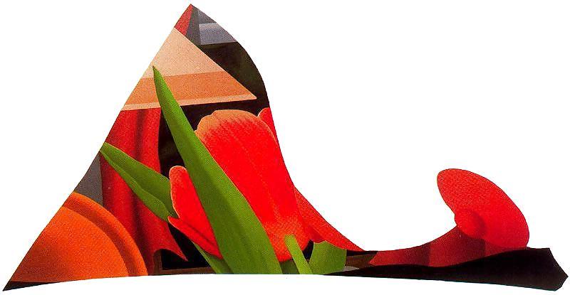 24P Drawn Ero and Porn Art 45 - Tom Wesselmann for llmo