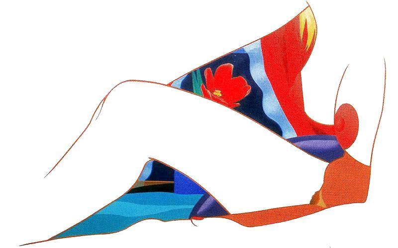 24P Drawn Ero and Porn Art 45 - Tom Wesselmann for llmo