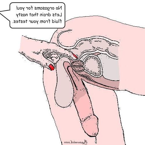 25P reposted gay toons....its all fun.