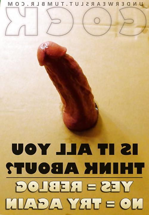 25P Coerced bi and gay humiliation