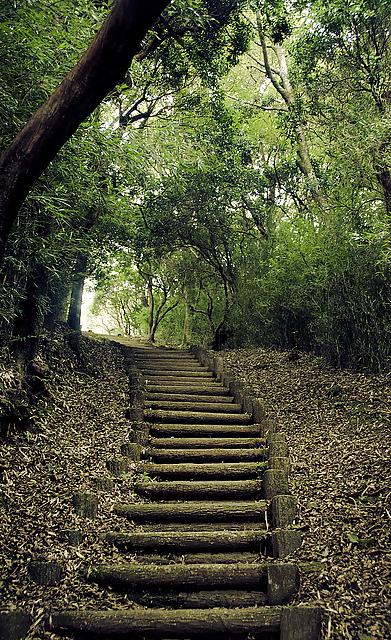 7P Nature's music