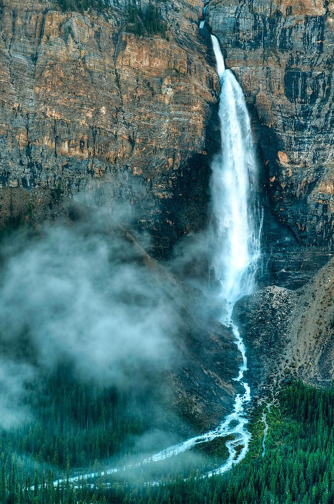 7P Nature's music