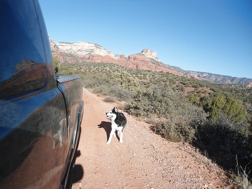 13P Nature pictures and some of my Husky