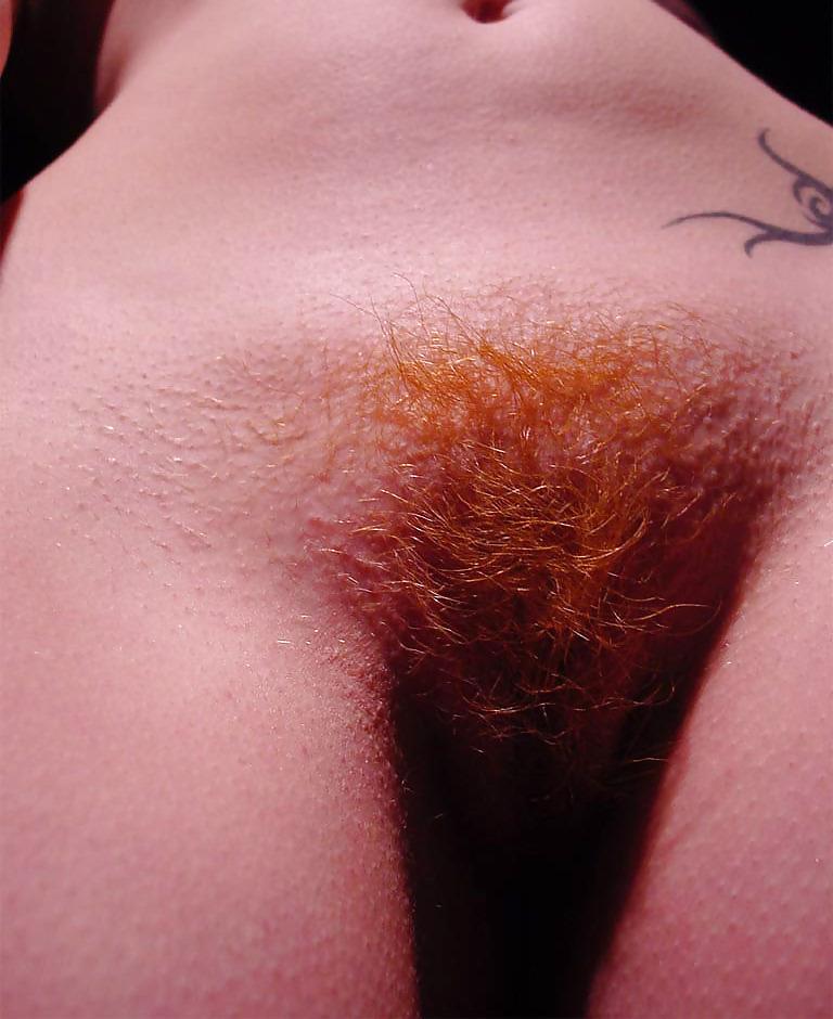 7P REDHEAD HOT PUSSY HAIR