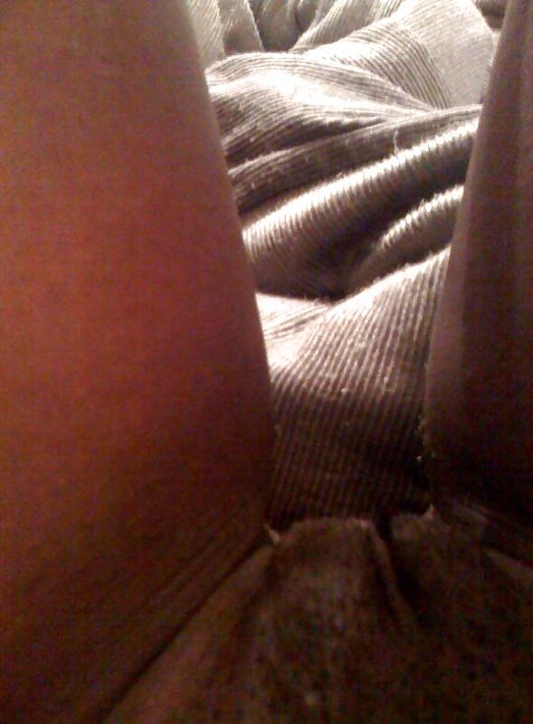 8P Big Black Titties