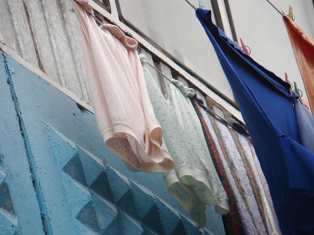 13P Lady underwear