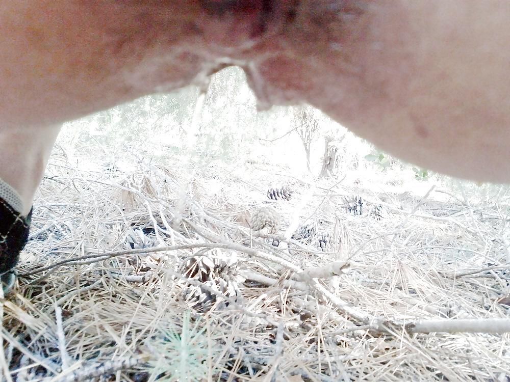 11P Chatte dans la nature