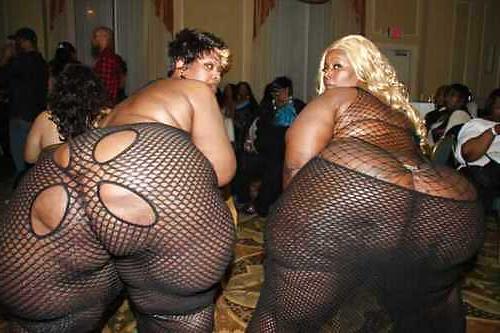 20P Thick Enony BBW's