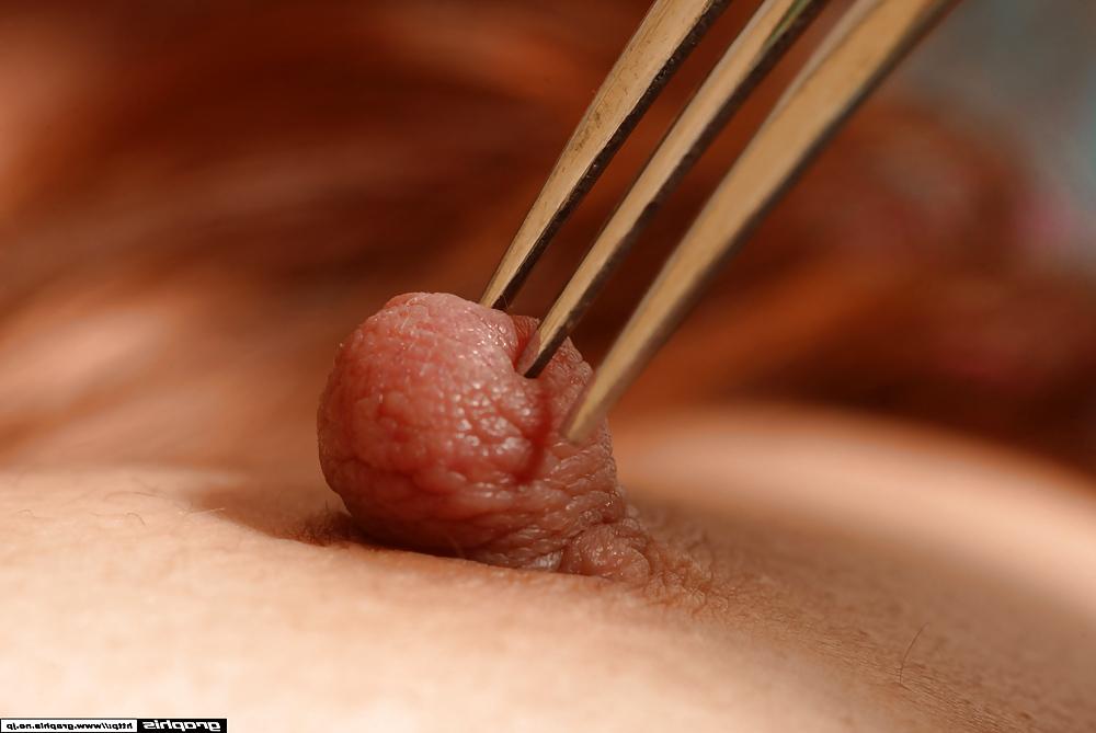 25P Nipple mania season 11