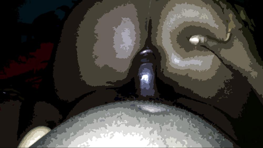 8P REVERSE COWGIRL