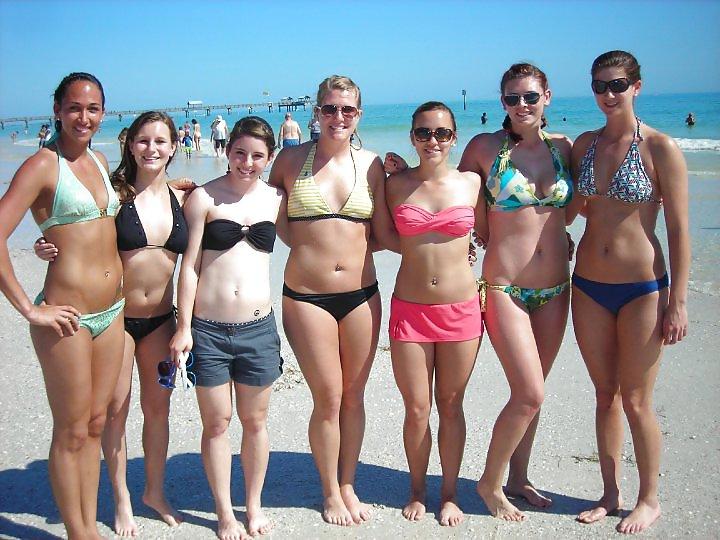 25P More Boston University Chicks