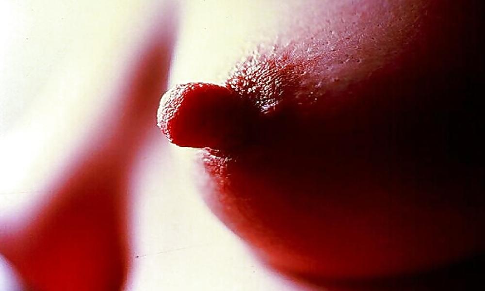 25P Nipples 2