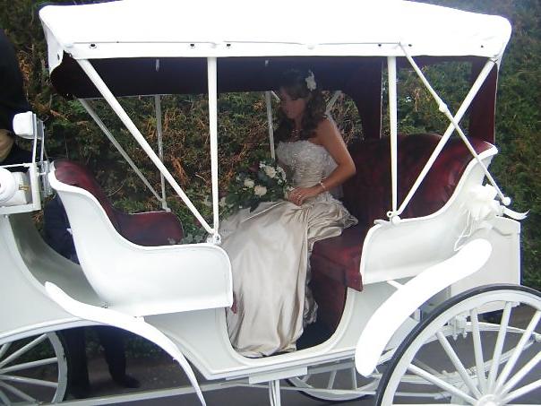 25P Lot's asked me to post Roxanne's wedding pics. Have fun so