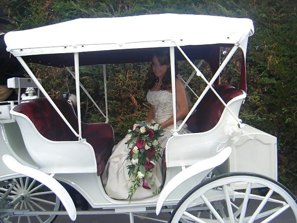 25P Lot's asked me to post Roxanne's wedding pics. Have fun so