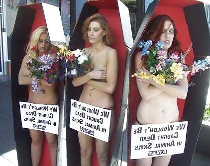 24P Gothic chicks getting naked in coffins