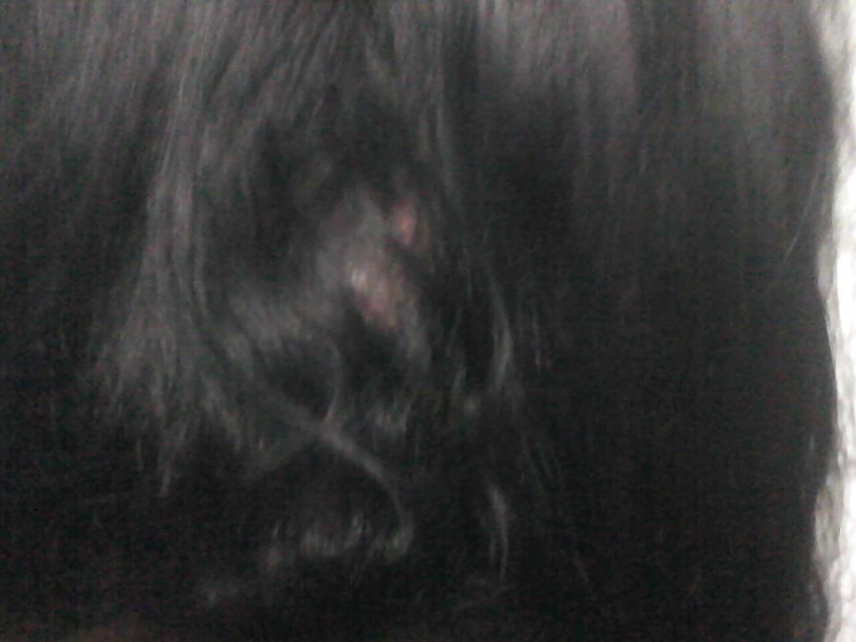 25P Hair