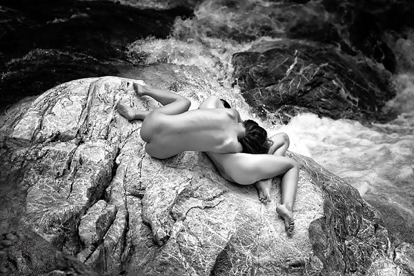 23P NUE-Art Nature 2 (Alf W)