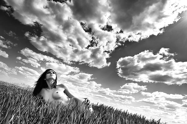 23P NUE-Art Nature 2 (Alf W)