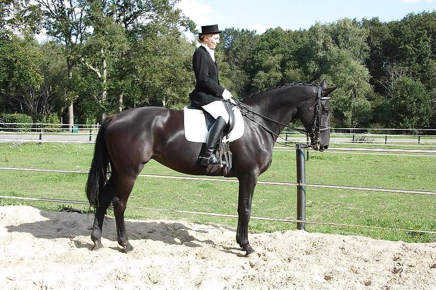 24P Riding ladies 