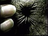25P Black Asses 8