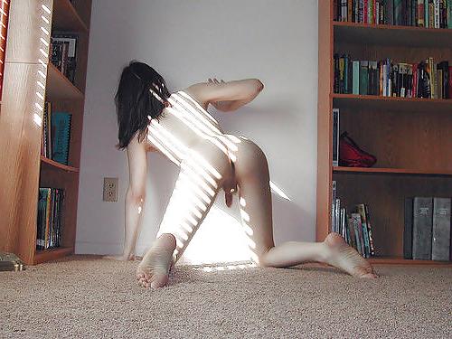 11P Tranny-bed pet