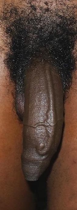 12P Gorgeous black cocks