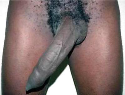 12P Gorgeous black cocks