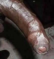 12P Gorgeous black cocks