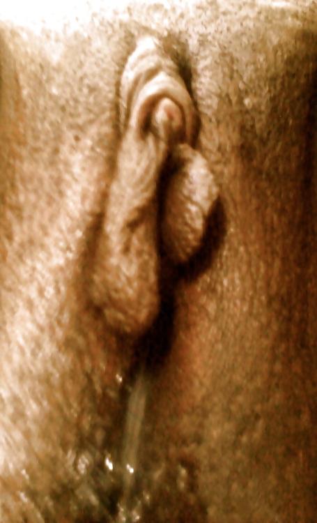 4P My Lovely Labia