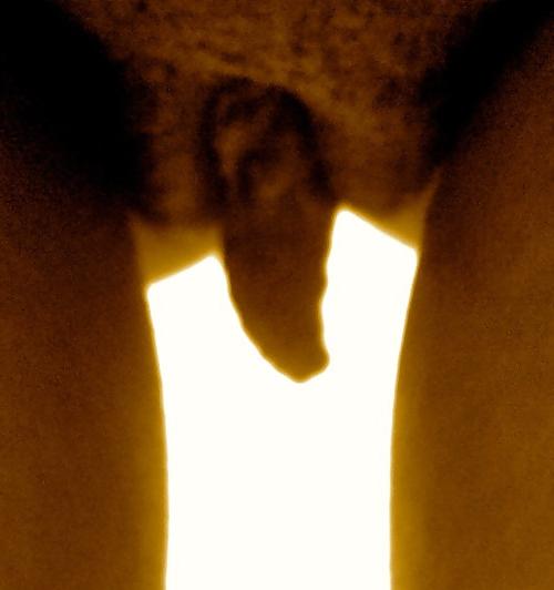 4P My Lovely Labia