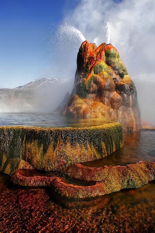 5P Nature's beauties