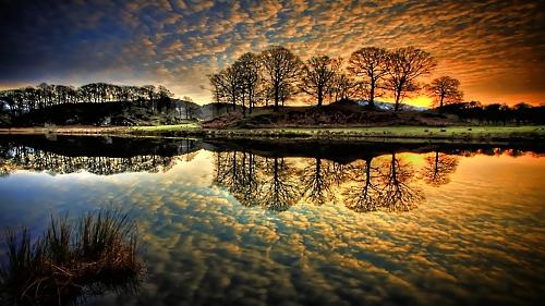 5P Nature's beauties